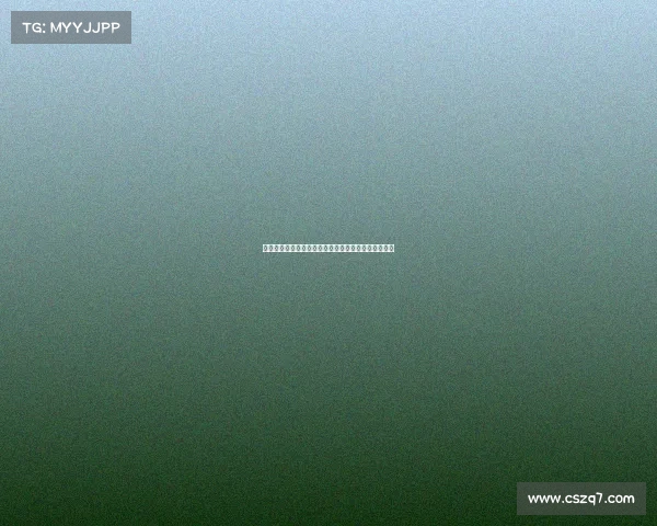 德甲电视转播新趋势：技术革新与观众体验的双重提升